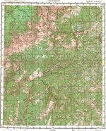 Карта O-49-26 поселок Чечуйское
