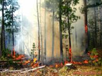 На Ольхоне с начала года произошло несколько крупных пожаров