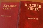 Иркутская область - Красная книга растений и животных