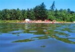 Республика Бурятия - восстановление экосистемы озера Котокель