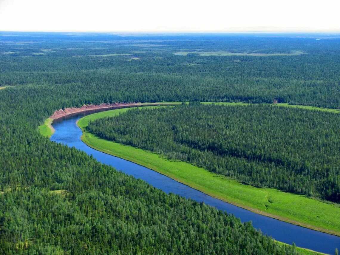 Психология и мотивация: как природа влияет на результаты тренировок